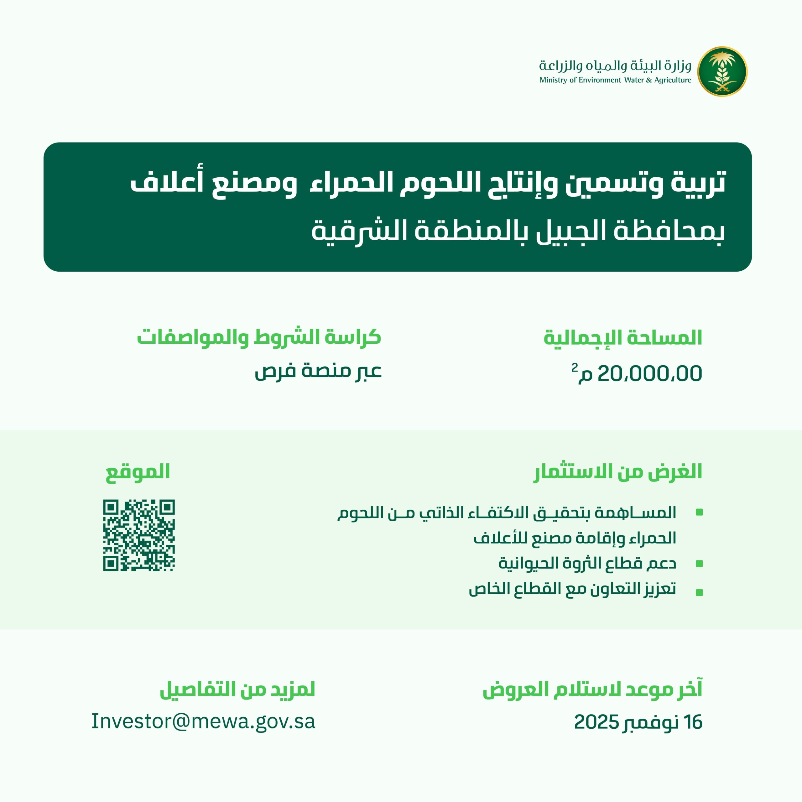 البيئة