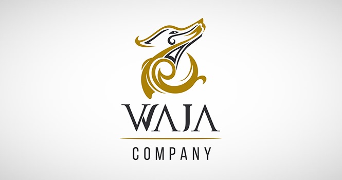 شركة وجا