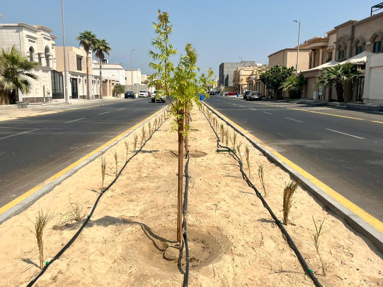 بلدية القطيف