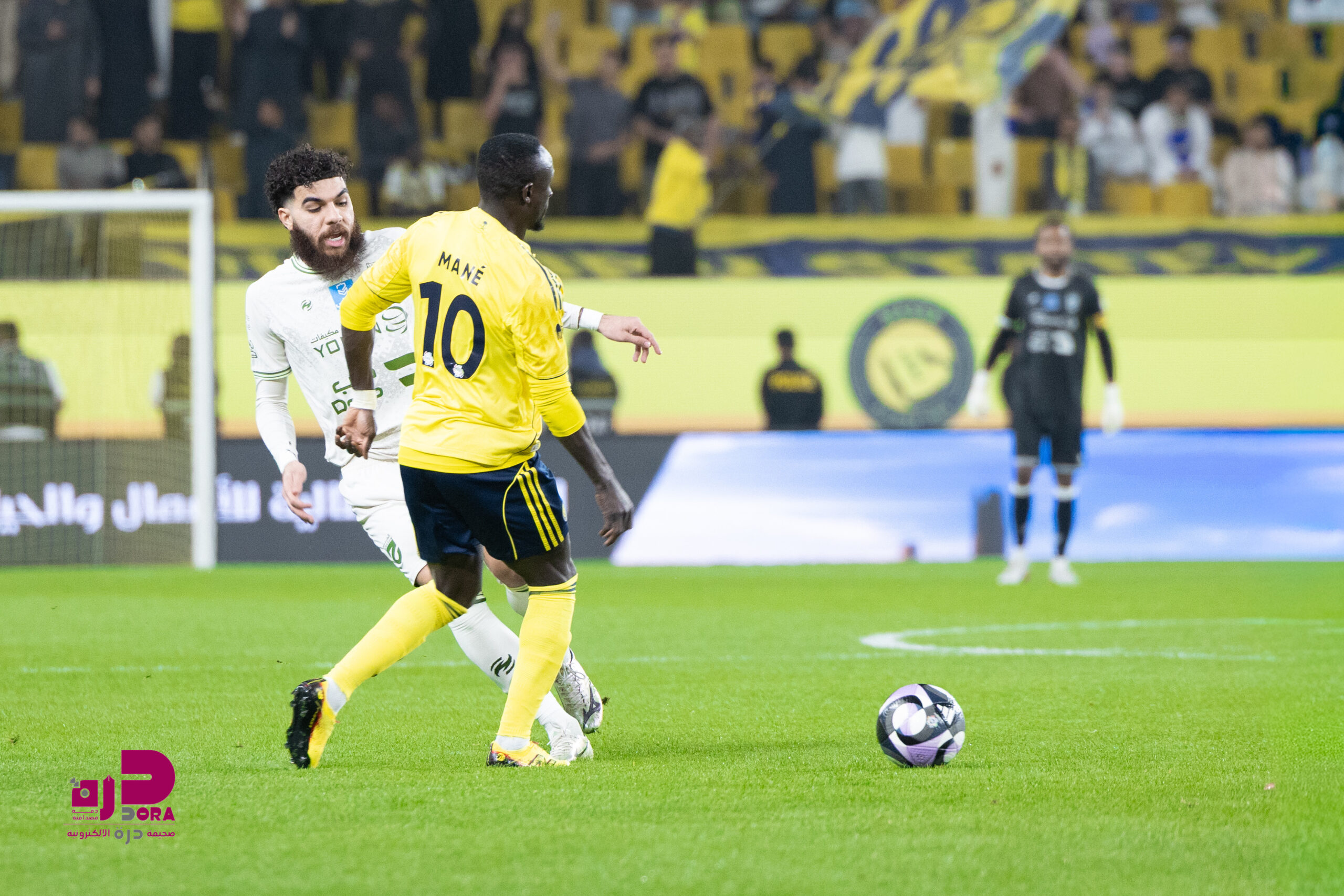 النصر - الحزم - تصوير / جزاع الشمري