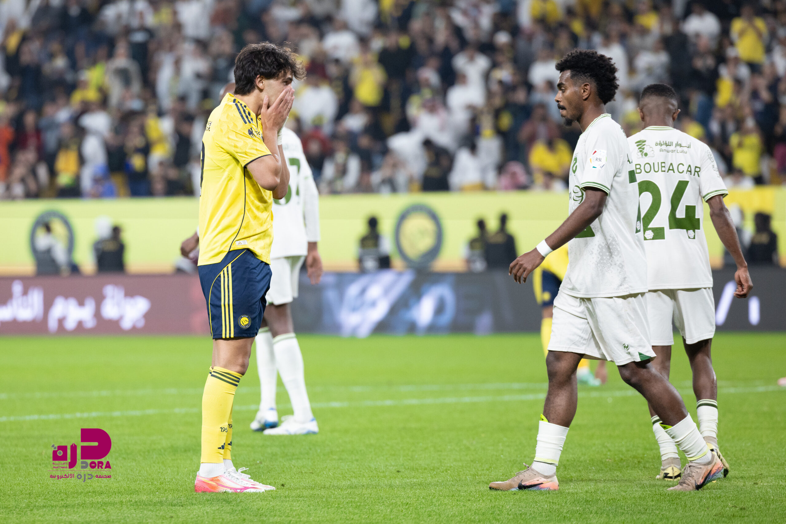 النصر - الحزم - تصوير / جزاع الشمري