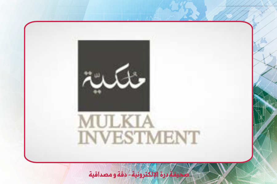 شركة مُلكيّة للاستثمار