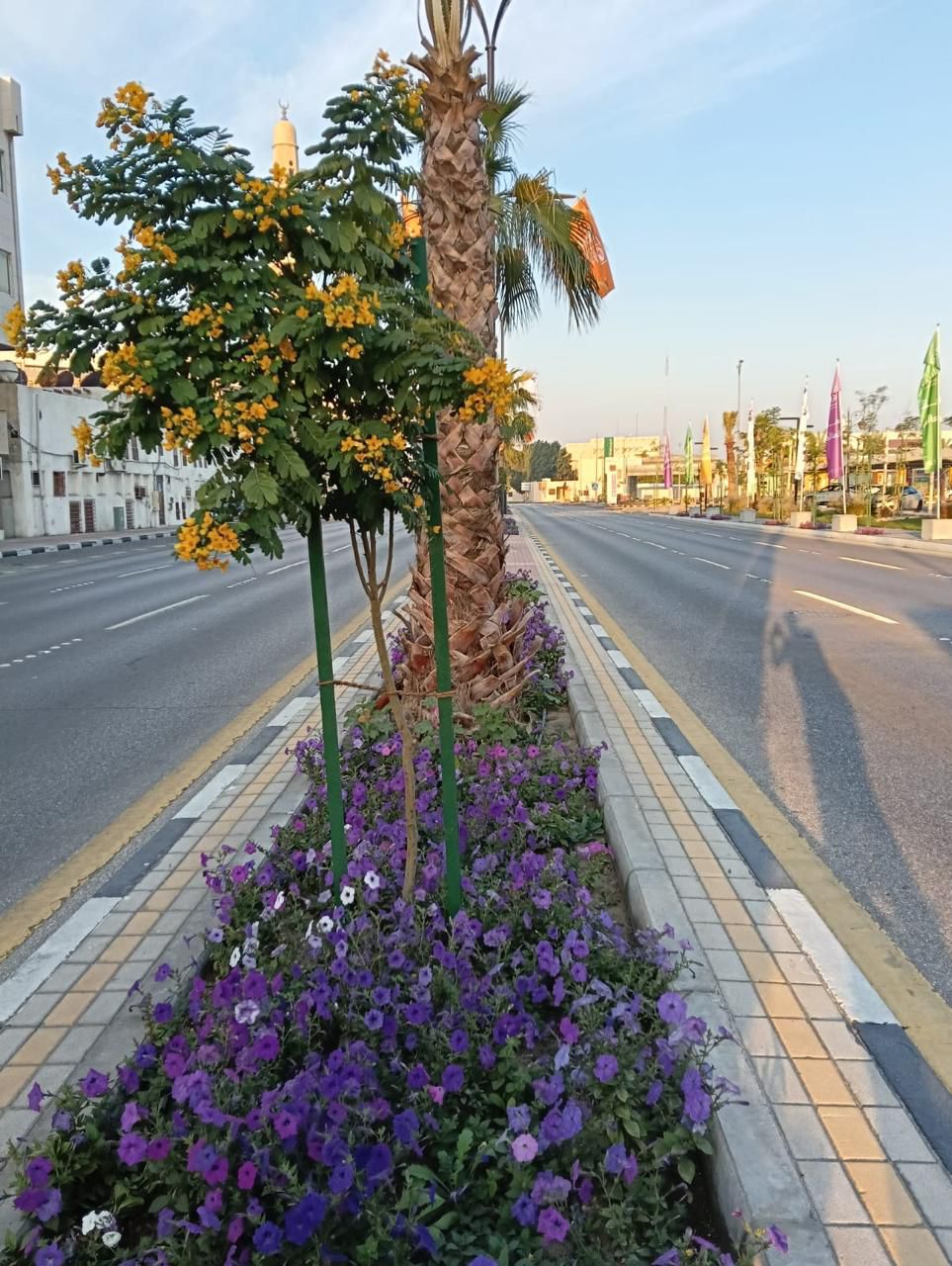 بلدية الدمام 