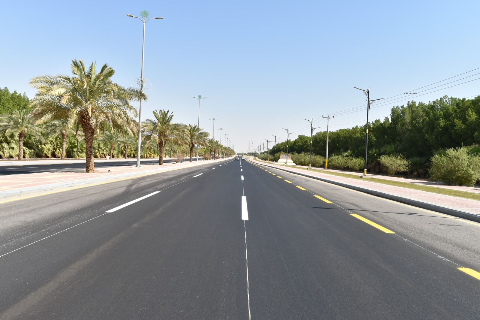 بلدية مليجة